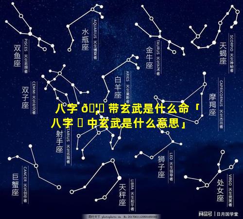 八字 🦅 带玄武是什么命「八字 ☘ 中玄武是什么意思」